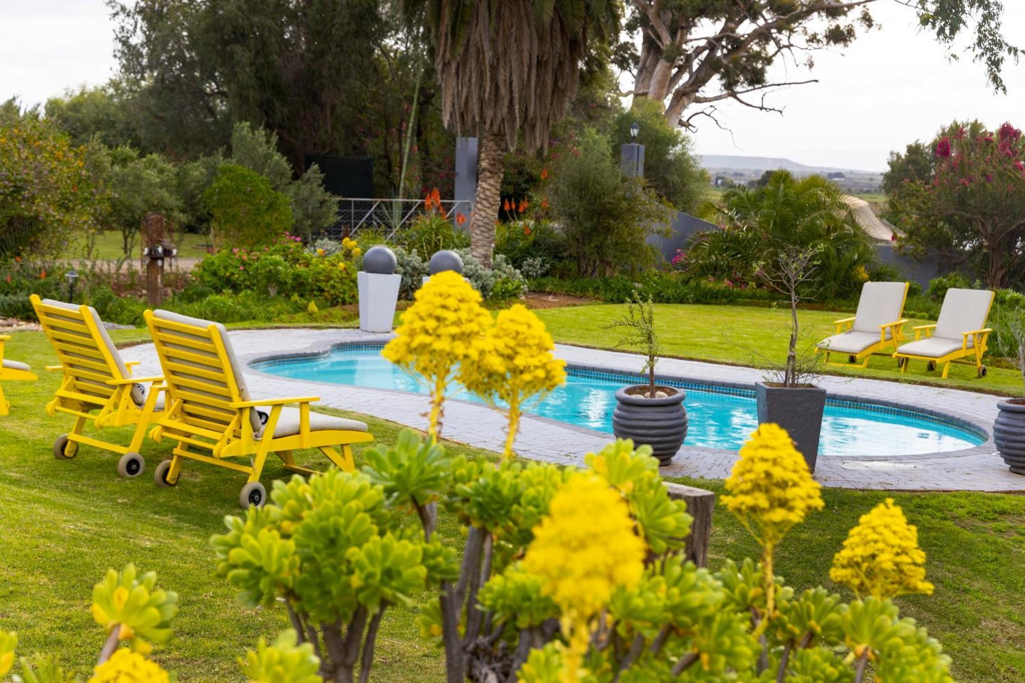 Thylitshia Villa Country Guest House Oudtshoorn Zewnętrze zdjęcie