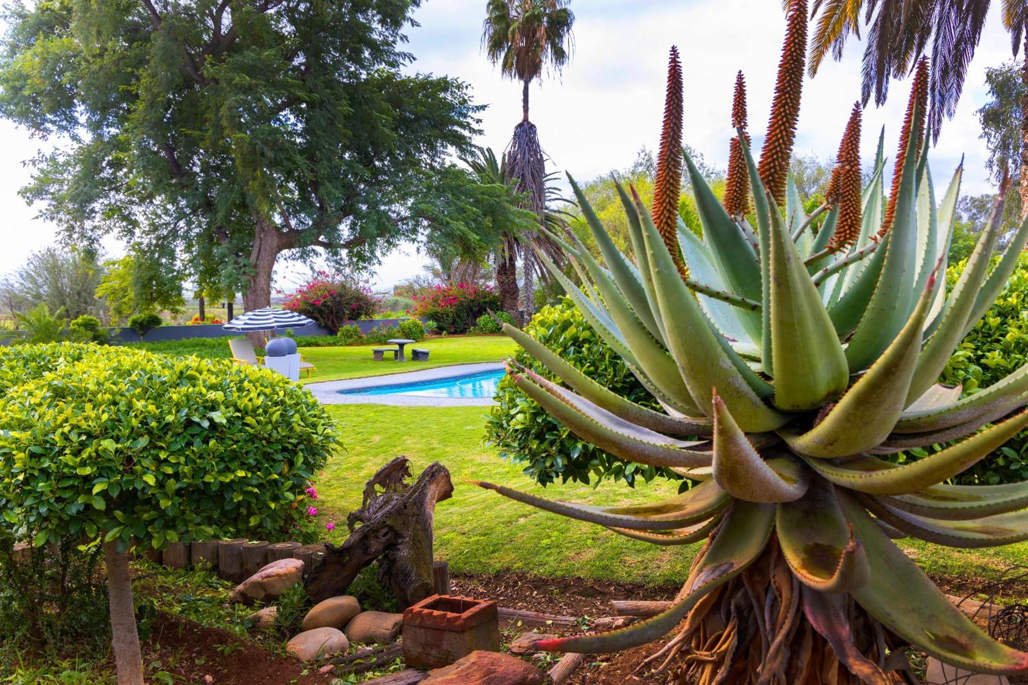 Thylitshia Villa Country Guest House Oudtshoorn Zewnętrze zdjęcie
