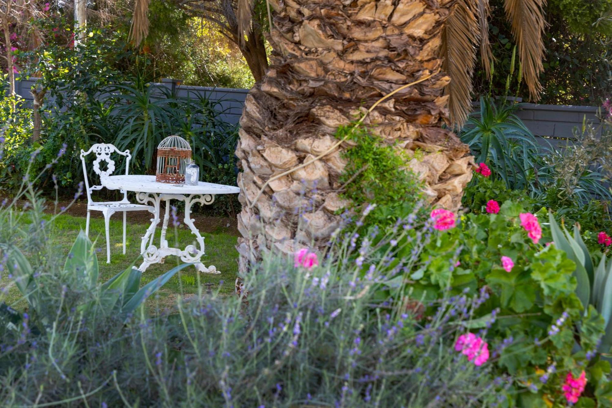 Thylitshia Villa Country Guest House Oudtshoorn Zewnętrze zdjęcie