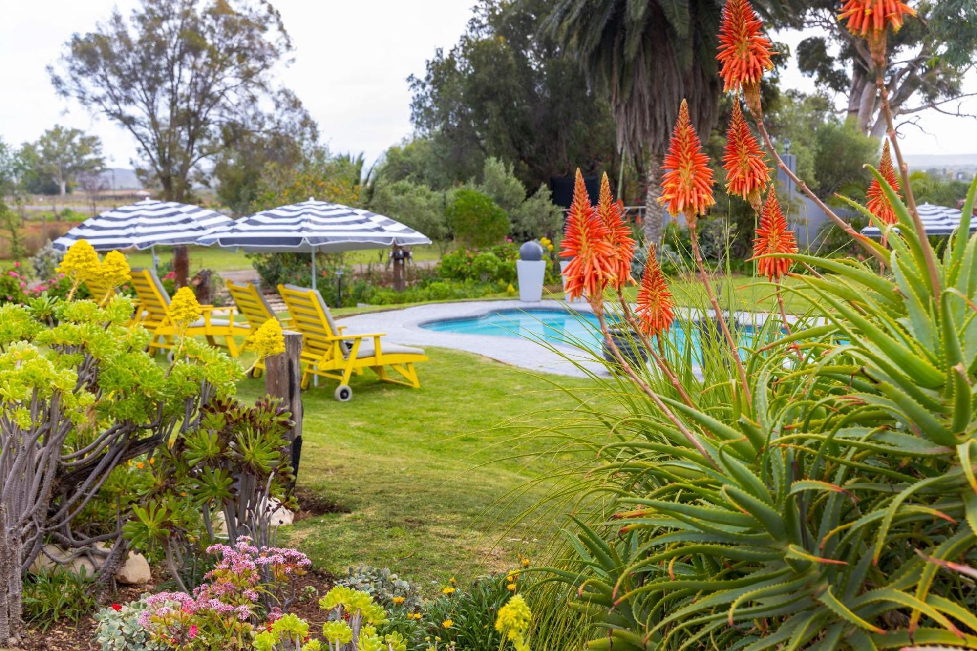 Thylitshia Villa Country Guest House Oudtshoorn Zewnętrze zdjęcie