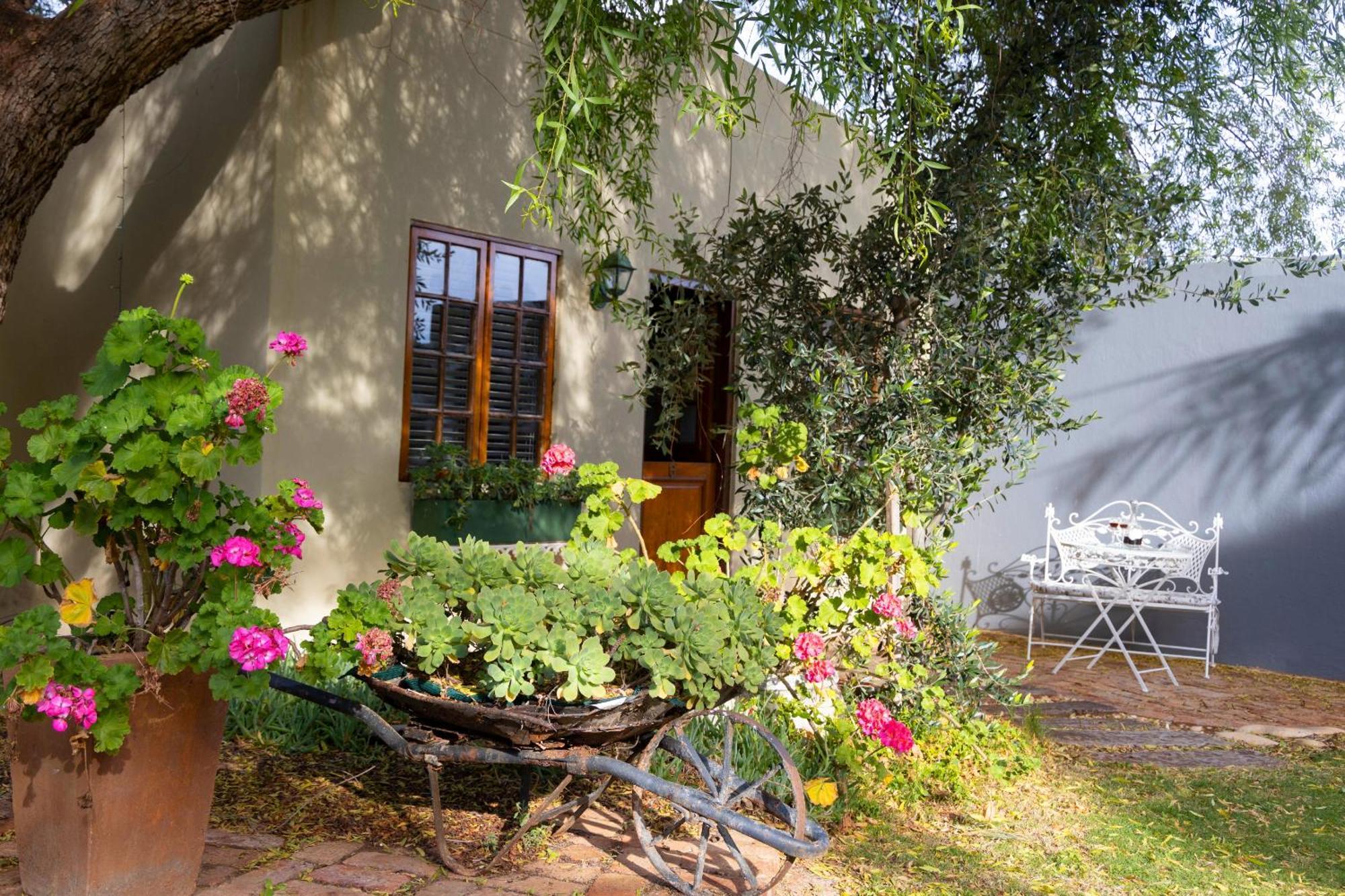 Thylitshia Villa Country Guest House Oudtshoorn Zewnętrze zdjęcie